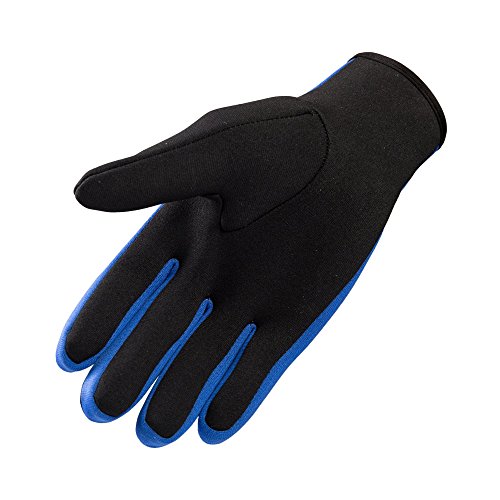NATYFLY Wetsuits Gloves Scuba Premium Neoprene 1.5mm Diving Gloves Five Finger Glove (Blue, Small)
