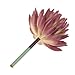 MagiDeal Artificial Succulent Real Touch Echeveria Flower Foliage Plant Decor Purple