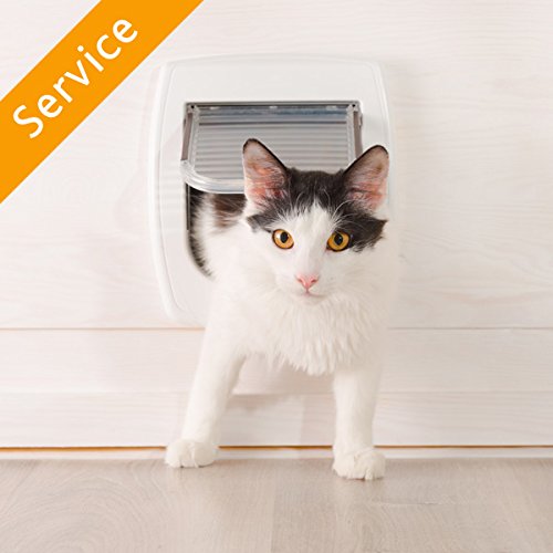 Pet Door Installation Metal Door in Oman Whizz Amazon Home