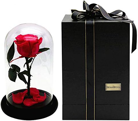 手作り保存花 ロマンチックな愛情のある贈り物 美女と野獣 ローズキット 家の装飾のためのガラスドームベースの赤いシルクローズホリデーパーティー結婚式記念日バレンタインギフト彼女のための 家族パーティー 結婚式 バレンタイン