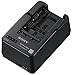 Sony BCQM1 Compact Battery Charger (Black)