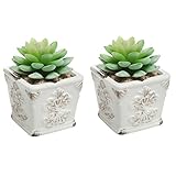 Set of 2 Mini Ceramic Planter Pots - MyGift®