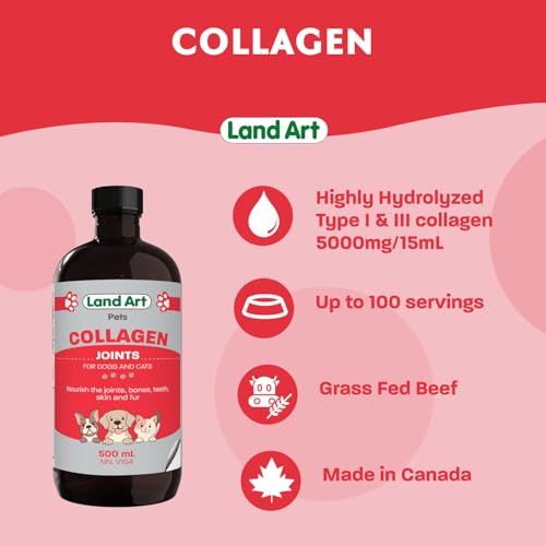 Pet Collagen Supplement - Grass Fed Beef Hydrolyzed - Natural Beef Flavour - Joint Care - Mobility & Health - Gluten, GMO & Sugar Free - for Dog & Cats - Made in Canada - 500ml