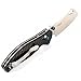 GANZO Firebird F7551 Pocket Folding Knife Carbon Fiber Handle with Clip 440C Stainless Steel Blade Hunting Fishing Outdoor EDC Knife (CF Black)