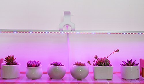 Led Grow Light Ledy 3.2ft 5050 Waterproof Flexible Soft Strip Grow Light For Plant Flower Herbs Seeds Seedlings Growing Red Blue 4:1 With DC 12V 2A Adaptor