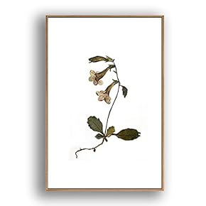 Framed Canvas Wall Art for Living Room, Bedroom Leaves Canvas Prints for Modern Home Decoration Ready to Hang - 16"x24" inches