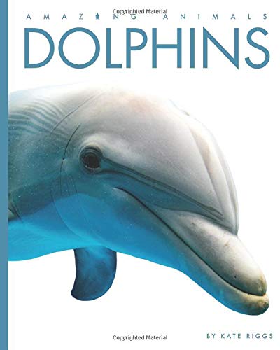 Dolphins (Amazing Animals): Riggs, Kate: 9781628327656: Amazon.com: Books