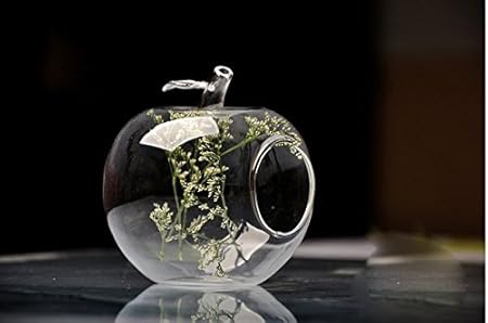 TIED RIBBONS Glass Planter With Hanging, Clear, Standard