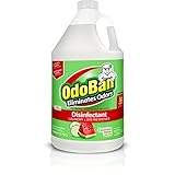 OdoBan Multipurpose Cleaner Concentrate, 1 Gal, Cucumber Melon Scent - Odor Eliminator, Disinfectant, Flood Fire Water Damage Restoration