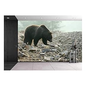 Big Brown Bear in The Forest - Canvas Art Wall Mural Decor - 66"x96"