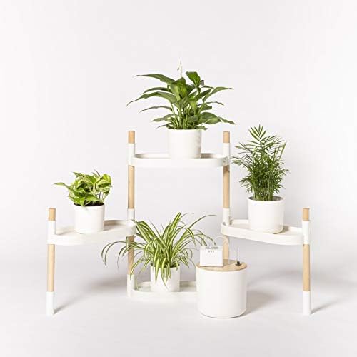 Citysens - Estantería para Plantas con riego automático, Blanca, 4 ...