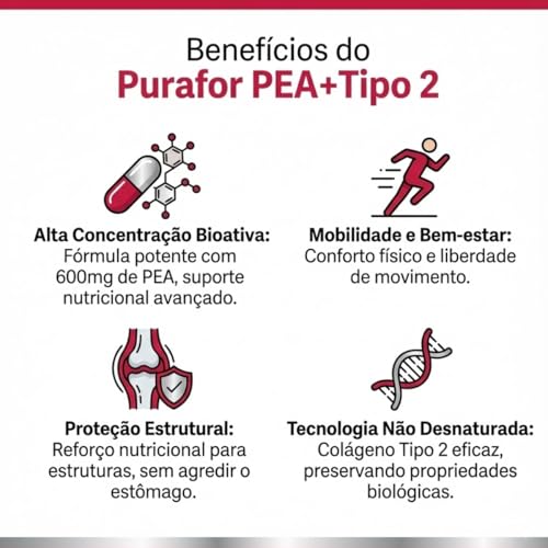 Suplemento PEA + Colágeno Tipo 2 | Palmitoiletanolamida Bioativa 600mg + Colágeno Tipo 2 40mg | 60 Cápsulas | Articulações e Recuperação Muscular