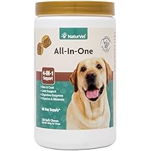 best iron supplement for dogs