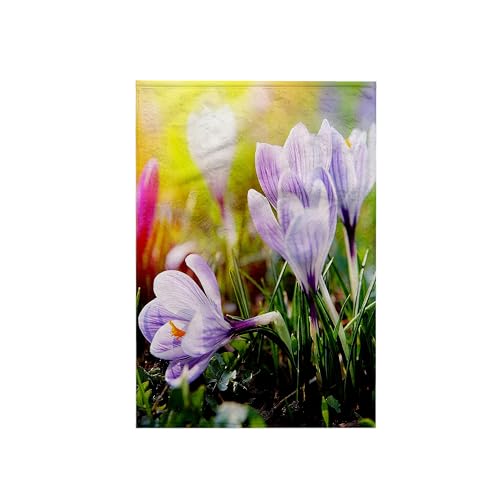 3D Rose TWL_214328_1 Crocus Flowers with Colorful Background Towel, 15" x 22"
