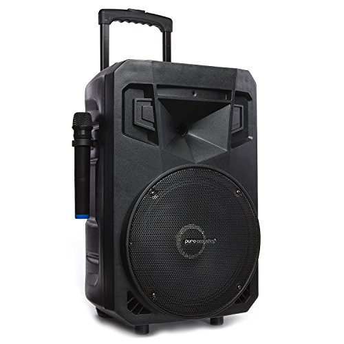 PA System with LED Party Lights, Wireless Portable Bluetooth 12" Audio Speaker with 2 Wireless Microphones FM Radio Party Karaoke Machine Sound System MCP-212 Soundstream by Pure Acoustics