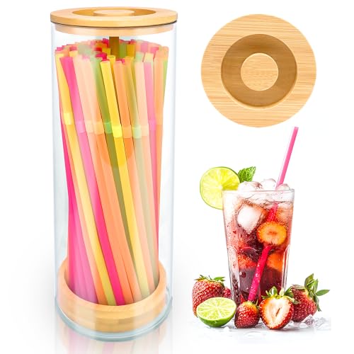 HOYTAMDAR Acrylic Straw Holder for Counter,10-Inch Drinking Straw Dispenser