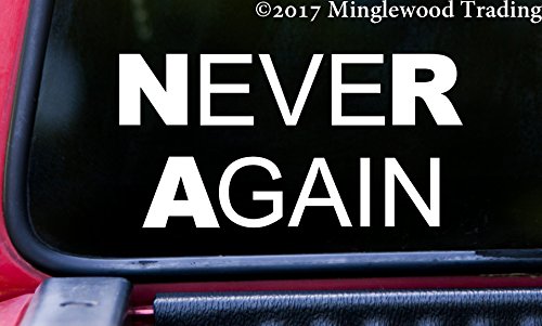BLACK - NEVER AGAIN 5.5" x 3" Vinyl Decal Sticker - NRA - Gun Reform - Resist - 20 Color Options