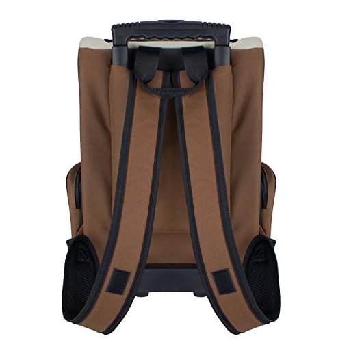 FrontPet Airline Approved Rolling Pet Travel Carrier with Wheels and Backpack Straps, 12″ W x 14