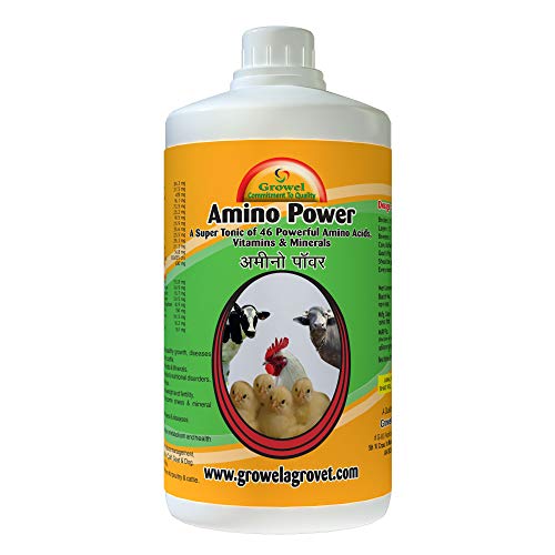 Growel Amino Power – A Blend of 46 Amino Acids, Vitamins, and Minerals for Growth and Immunity of Aqua, Poultry, Cattle, Horse, Pig, Goat, Pigeon and Birds (500 ml.) 1 Growel Amino Power – A Blend of 46 Amino Acids, Vitamins, and Minerals for Growth and Immunity of Aqua, Poultry, Cattle, Horse, Pig, Goat, Pigeon and Birds (500 ml.)