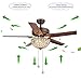 RainierLight Classical Crystal Ceiling Fan Lamp LED Light for Bedroom/Living Room Hotel/Restaurant with 5 Premium Metal Reversible Blades Remote Control 48 Inch