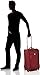 Travelpro Crew 10 20 Inch Expandable Business Plus Rollaboard (One size, Merlot)