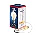(3-PACK) 8-Watt LED Dimmable Vinatge Filament 75 Watt Equivalent Warm White A19 Light Bulbs, UL-Listed
