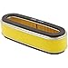 Honda 17210-ZE6-505 Air Filter & Prefilter