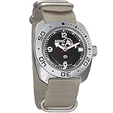 Vostok Amphibian Automatic Self-Winding Russian