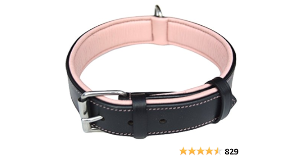 black leather collar