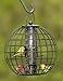 Gardener's Supply Company Squirrel Resistant Globe Cage Mixed Seed Bird Feeder primary