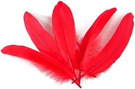 Wionya 100pcs Goose Feather Craft 6-8inch(15-20cm) Plume for Wedding Centerpieces Home Decoration