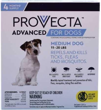 how much is 4 months in dog years