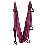 EverKing Aerial Yoga Straps Trapeze - Antigravity Yoga Swing/Sling/Inversion Tool,Air Flying Yoga Hammock Belt Fitness Swing Hammock for Yoga Inversion Exercises (purple)