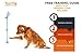 Mighty Paw Dog Doorbells 2.0 - Potty Training Aid - Housetraining Doggy Door Bells - Bell for Dog to Ring to Go Outside - Doggie Bell Potty - Puppy Training Tinkle Bell - (Kelly Green - Moroccan)