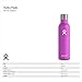 Hydro Flask 25 oz Double Wall Vacuum Insulated Stainless Steel Leak Proof Wine Bottle with BPA Free Cap