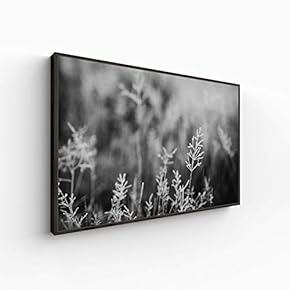 Canvas Wall Art for Living Room, Bedroom Monochrome Plants Framed Canvas Prints for Home Decoration Ready to Hang - 16x24 inches