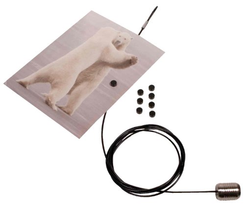 Magnetic Photo Display Cable Black