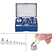 17Pcs Precision Calibration Weight Set, Precision Weight- 1 x 100g,1 x 50g,2 x 20g,1 x 10g, 1 x 5g, 2x2g, 1x 1g, 1x500mg, 2x200mg, 1 x 100mg, 1 x 50mg, 2 x 20mg, 1 x 10mg