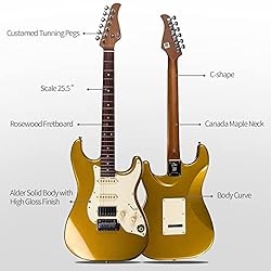 GTRS S800 Electric Guitar Kit Rosewood Fretboard