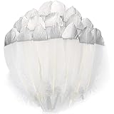 THARAHT 60pcs White Goose Feathers Natural Bulk 6-8