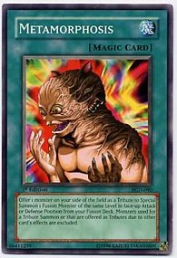 Yugioh Pharaonic Guardian Metamorphosis Pgd 090 Common Toy | Desertcart  INDIA