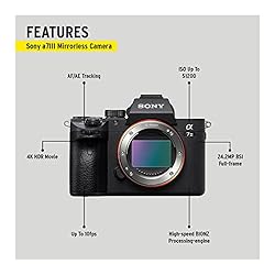 Sony Alpha a7 III Mirrorless Digital Camera