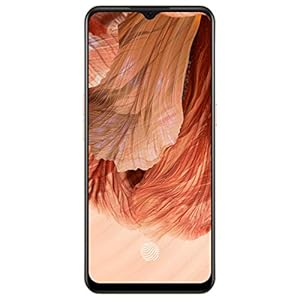 Oppo F17 (Dynamic Orange, 6GB RAM, 128GB Storage) with No Cost EMI/Additional Exchange Offers