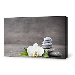 for Living Room Bedroom Home Artwork Paintings Orchid SPA Backgrounds