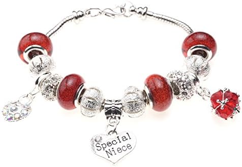 'Special Niece' Birthstone Birthday Charm Bracelet with Gift Box Women's Jewellery