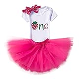 Baby Girl 1st Birthday Outfit Onesie Tulle Skirt