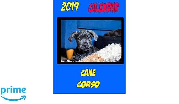 2019 Calendar Cane Corso Dog Calendar Personal Contact