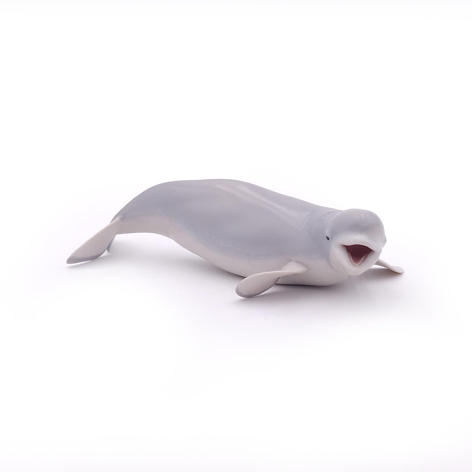 View 4