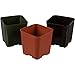 WH Garden Supply Pack of 2 Inch Plastic Flower Pots for Seedlings, or Succulents (100 Pots, Green)