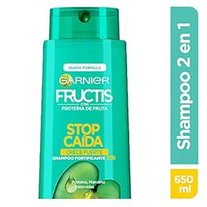 shampoo 2 in 1 garnier